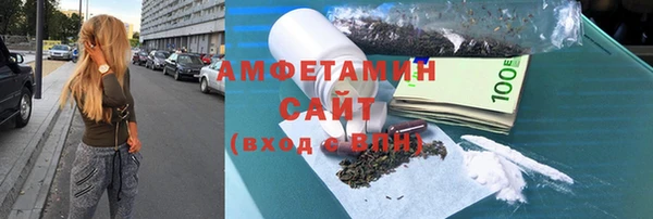 индика Ладушкин