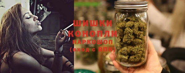 дурь Лабытнанги