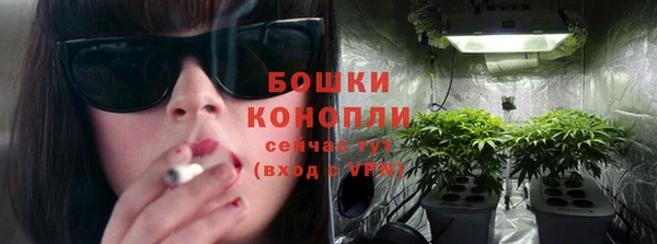 индика Ладушкин