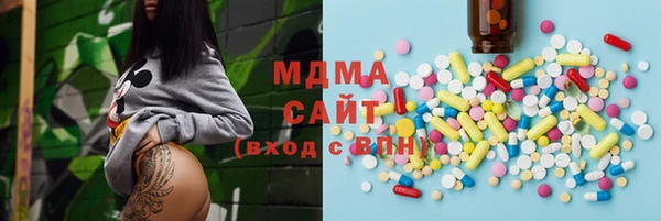индика Ладушкин