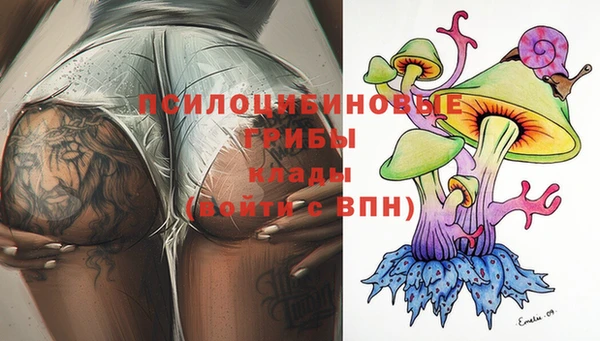 дурь Лабытнанги