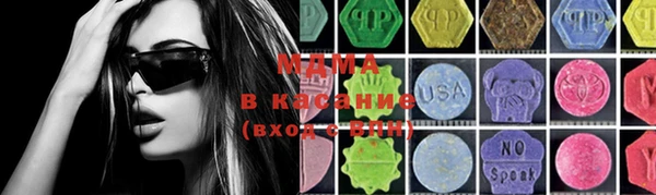 индика Ладушкин
