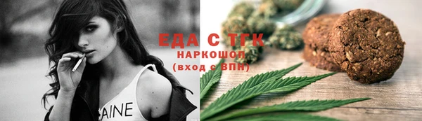 индика Ладушкин