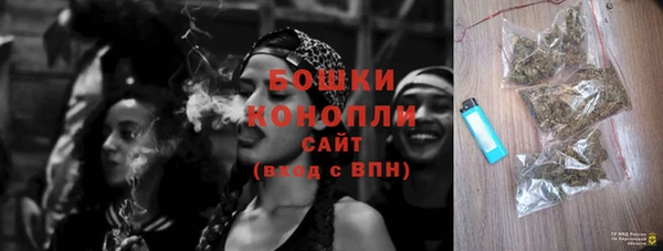 индика Ладушкин