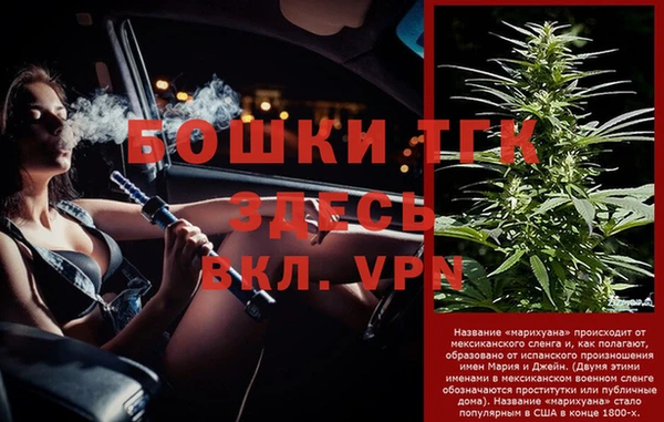 индика Ладушкин