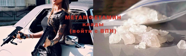 индика Ладушкин