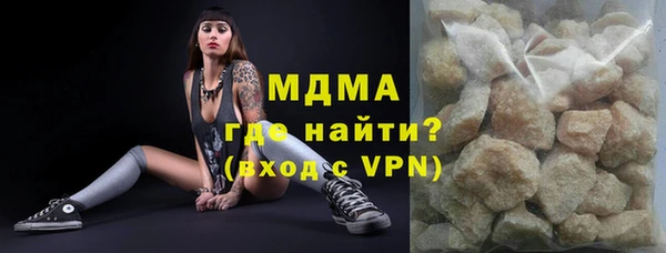 индика Ладушкин