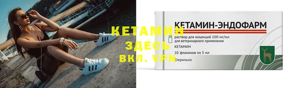 индика Ладушкин