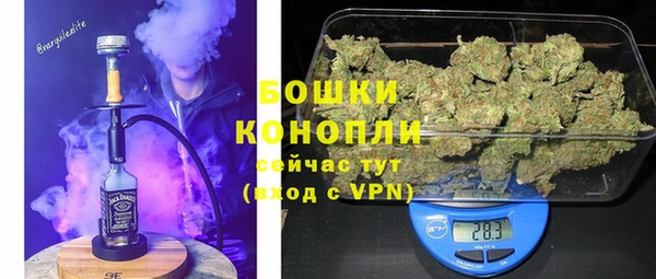 винт Лагань