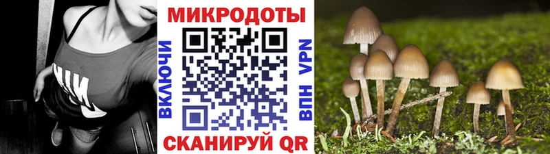 Купить Андреаполь Галлюциногенные грибы прущие грибы